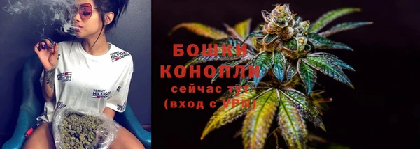 винт Ельня