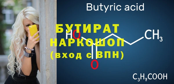 винт Ельня