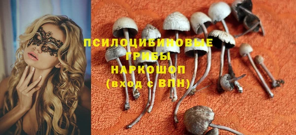винт Ельня