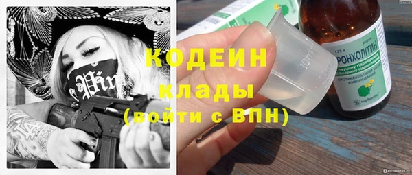 винт Ельня